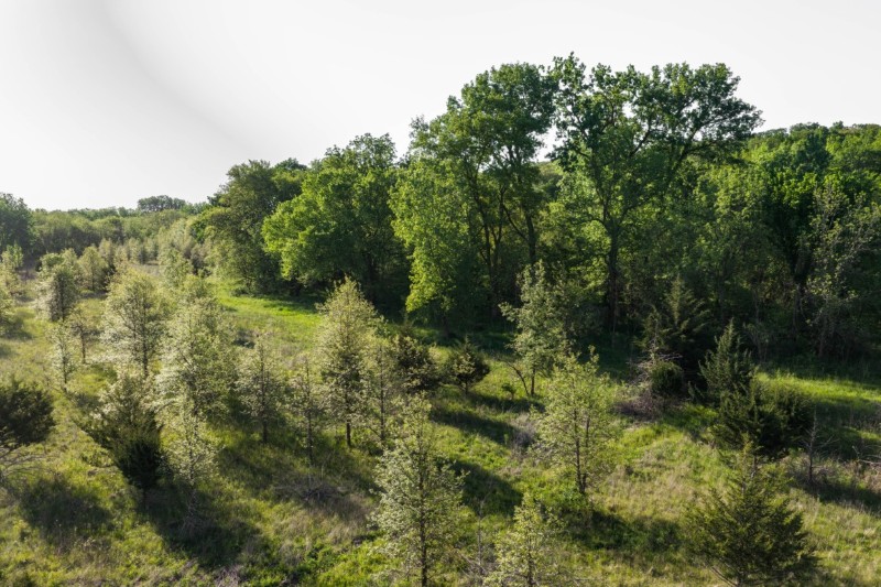 Listing photo 18